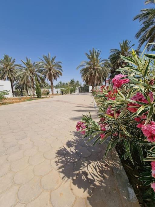 Dar Jamila - Au Coeur De L'Oasis - Gabès Exterior foto